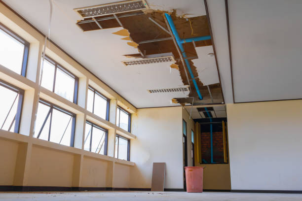 Best Water damage restoration cost  in Nyssa, OR