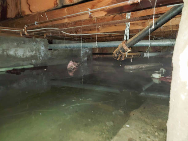 Best Fire Damage Restoration  in Nyssa, OR
