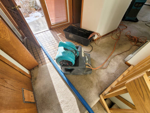 Trusted Nyssa, OR Water damage restoration Experts